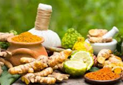 Ayurveda & Herbal Product