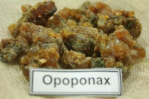 OPOPONAX ( BIG GUM MYRRH )